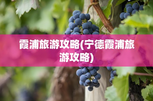霞浦旅游攻略(宁德霞浦旅游攻略)