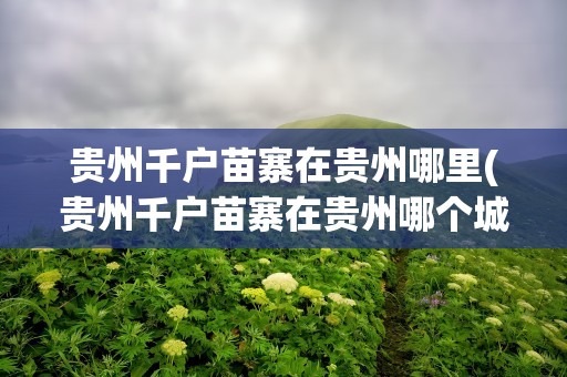 贵州千户苗寨在贵州哪里(贵州千户苗寨在贵州哪个城市)