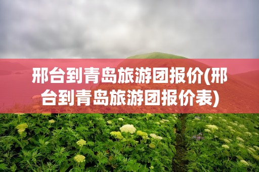 邢台到青岛旅游团报价(邢台到青岛旅游团报价表)