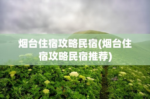 烟台住宿攻略民宿(烟台住宿攻略民宿推荐)