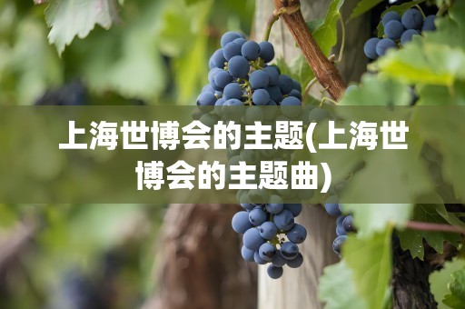 上海世博会的主题(上海世博会的主题曲)