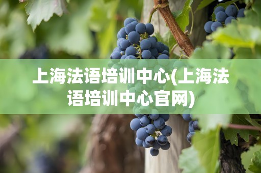 上海法语培训中心(上海法语培训中心官网)