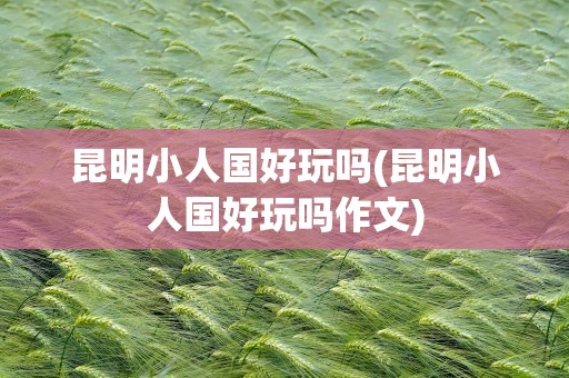 昆明小人国好玩吗(昆明小人国好玩吗作文)