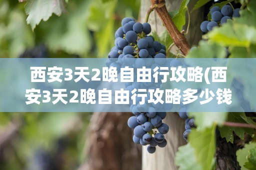 西安3天2晚自由行攻略(西安3天2晚自由行攻略多少钱)