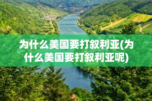 为什么美国要打叙利亚(为什么美国要打叙利亚呢)