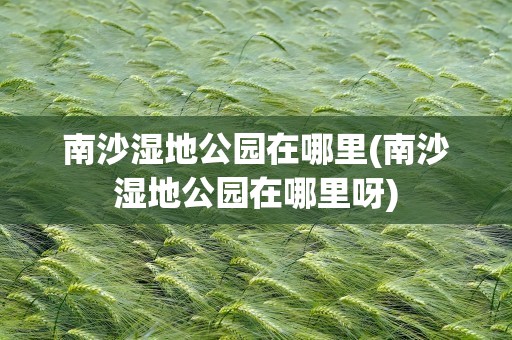 南沙湿地公园在哪里(南沙湿地公园在哪里呀)