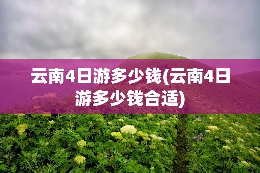 云南4日游多少钱(云南4日游多少钱合适)