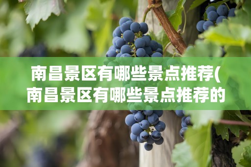 南昌景区有哪些景点推荐(南昌景区有哪些景点推荐的)