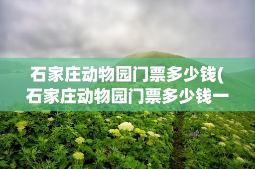 石家庄动物园门票多少钱(石家庄动物园门票多少钱一张)