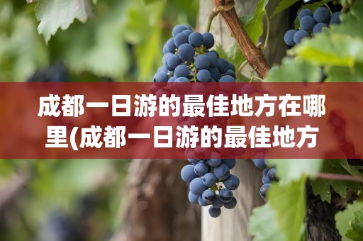 成都一日游的最佳地方在哪里(成都一日游的最佳地方在哪里玩)