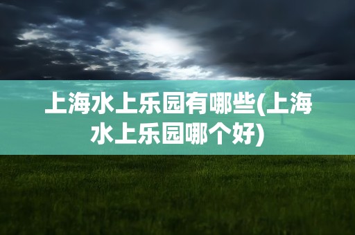 上海水上乐园有哪些(上海水上乐园哪个好)