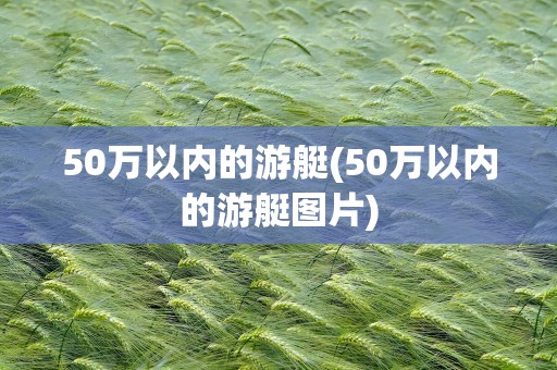 50万以内的游艇(50万以内的游艇图片)
