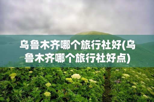 乌鲁木齐哪个旅行社好(乌鲁木齐哪个旅行社好点)