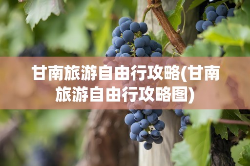 甘南旅游自由行攻略(甘南旅游自由行攻略图)