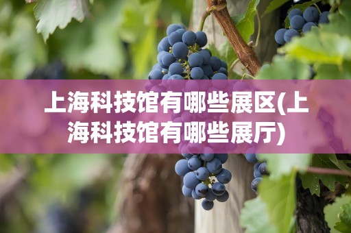 上海科技馆有哪些展区(上海科技馆有哪些展厅)