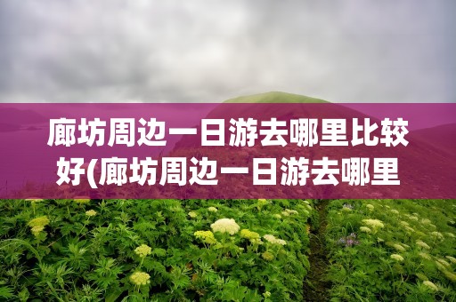 廊坊周边一日游去哪里比较好(廊坊周边一日游去哪里比较好玩)