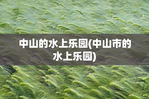 中山的水上乐园(中山市的水上乐园)