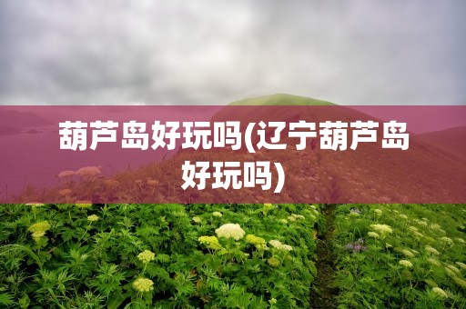 葫芦岛好玩吗(辽宁葫芦岛好玩吗)