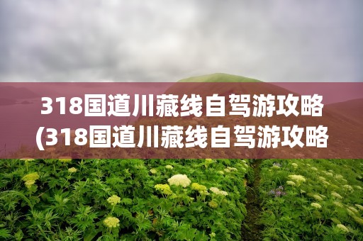 318国道川藏线自驾游攻略(318国道川藏线自驾游攻略大全)