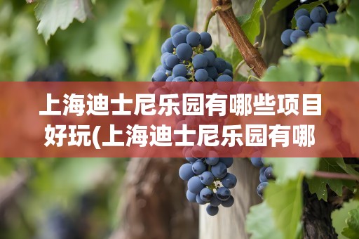 上海迪士尼乐园有哪些项目好玩(上海迪士尼乐园有哪些项目好玩的)