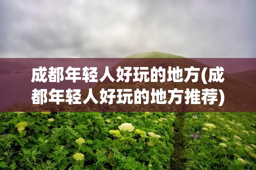 成都年轻人好玩的地方(成都年轻人好玩的地方推荐)