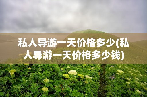 私人导游一天价格多少(私人导游一天价格多少钱)