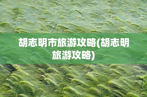 胡志明市旅游攻略(胡志明旅游攻略)