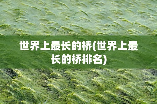 世界上最长的桥(世界上最长的桥排名)