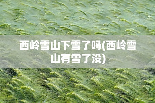 西岭雪山下雪了吗(西岭雪山有雪了没)