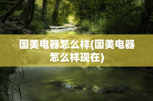 国美电器怎么样(国美电器怎么样现在)