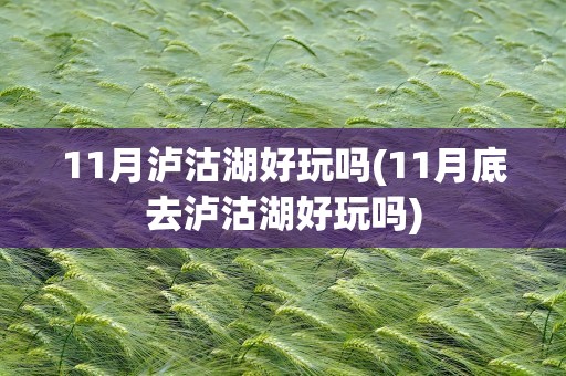 11月泸沽湖好玩吗(11月底去泸沽湖好玩吗)