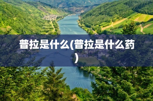 普拉是什么(普拉是什么药)