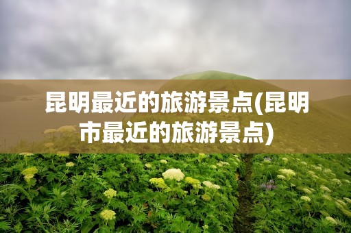 昆明最近的旅游景点(昆明市最近的旅游景点)