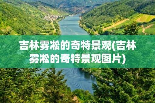 吉林雾凇的奇特景观(吉林雾凇的奇特景观图片)