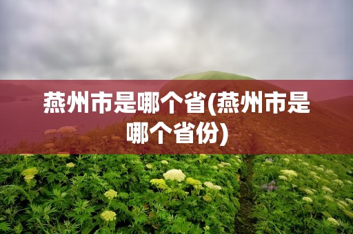 燕州市是哪个省(燕州市是哪个省份)