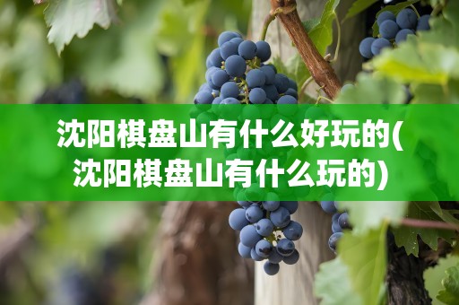 沈阳棋盘山有什么好玩的(沈阳棋盘山有什么玩的)