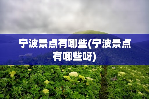 宁波景点有哪些(宁波景点有哪些呀)