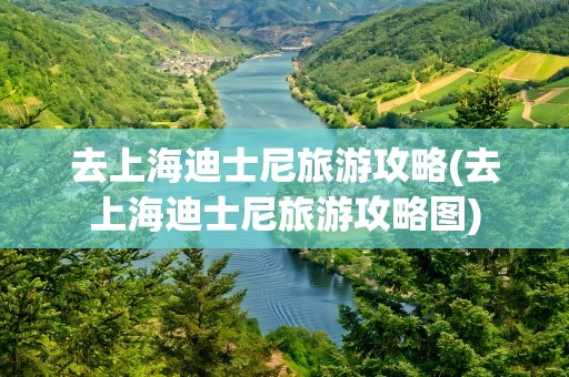 去上海迪士尼旅游攻略(去上海迪士尼旅游攻略图)