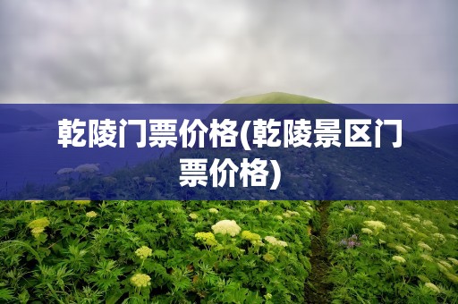 乾陵门票价格(乾陵景区门票价格)