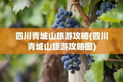 四川青城山旅游攻略(四川青城山旅游攻略图)