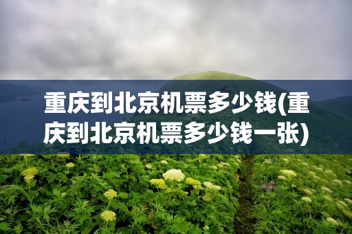重庆到北京机票多少钱(重庆到北京机票多少钱一张)