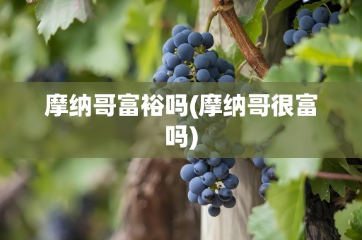 摩纳哥富裕吗(摩纳哥很富吗)