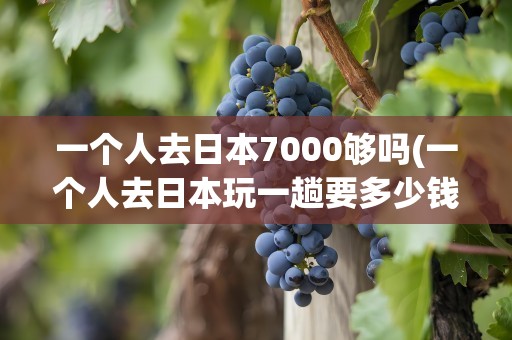 一个人去日本7000够吗(一个人去日本玩一趟要多少钱)