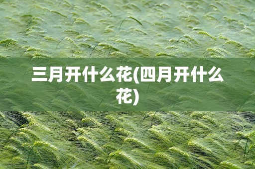 三月开什么花(四月开什么花)