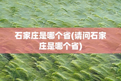 石家庄是哪个省(请问石家庄是哪个省)