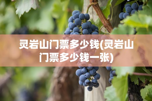灵岩山门票多少钱(灵岩山门票多少钱一张)