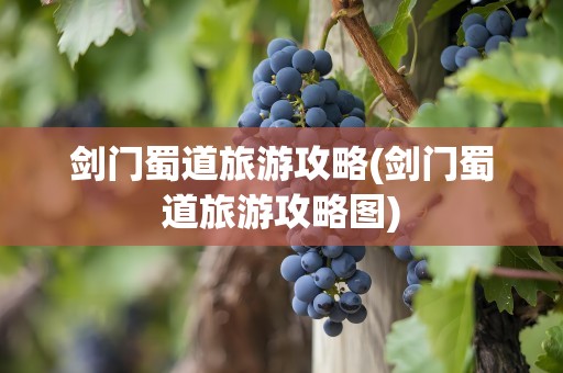 剑门蜀道旅游攻略(剑门蜀道旅游攻略图)