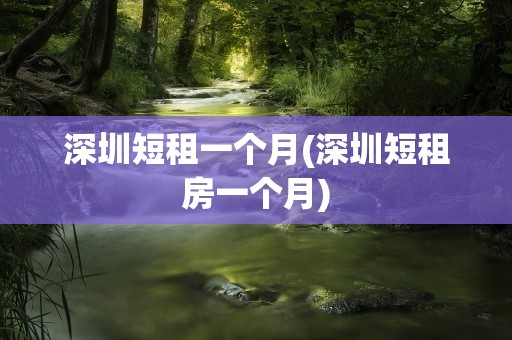 深圳短租一个月(深圳短租房一个月)