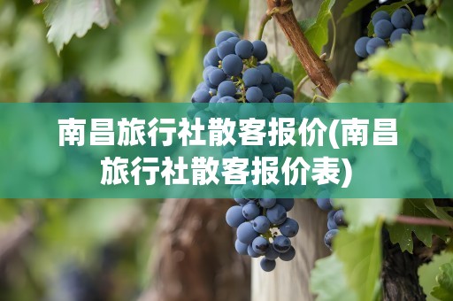 南昌旅行社散客报价(南昌旅行社散客报价表)