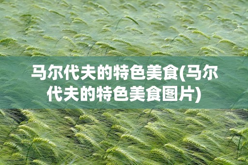 马尔代夫的特色美食(马尔代夫的特色美食图片)